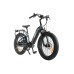 E-FATI GU 48V 500W 840Wh