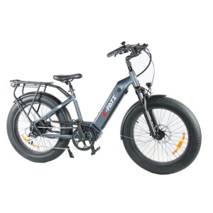 E-FATI GU 48V 500W 840Wh