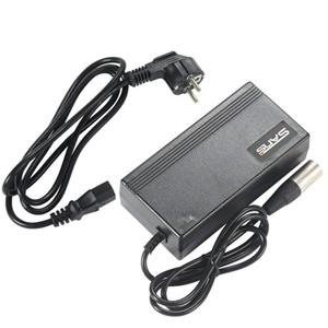 Charger 36v 3A
